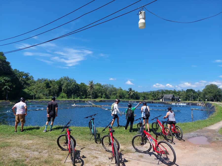 Phuket: Half-Day Countryside Cycling Tour with Lunch - What the $73 price really includes