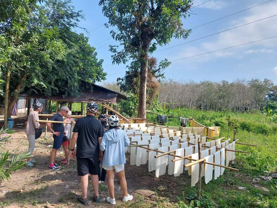 Phuket: Half-Day Countryside Cycling Tour with Lunch - Pineapple fields, shrimp farms, and quiet roads