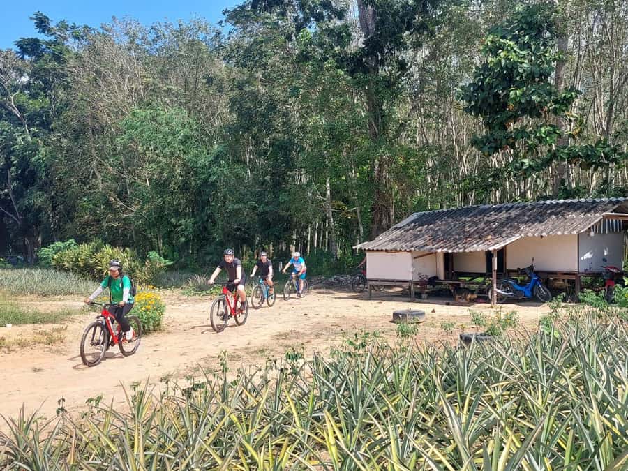 Phuket: Half-Day Countryside Cycling Tour with Lunch - How difficult is the cycling?