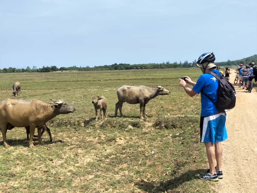 Phuket: Yao Island Cycling and Beach Day-Trip - The afternoon ride along Koh Yao Noi’s east coast