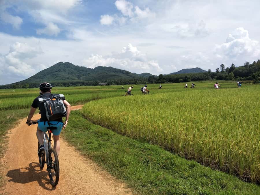 Phuket: Yao Island Cycling and Beach Day-Trip - The morning ride through Koh Yao Noi’s countryside