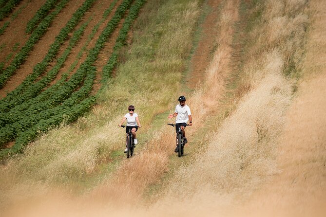 Pienza - Ebike tour for a full immersion in Val d'Orcia. - The Chapel of Vitaleta and the classic Val d’Orcia view