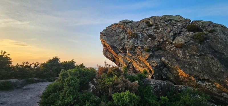 Poole: Old Harry Rocks and Corfé Castle Guided E-bike Tour - What the guide service adds