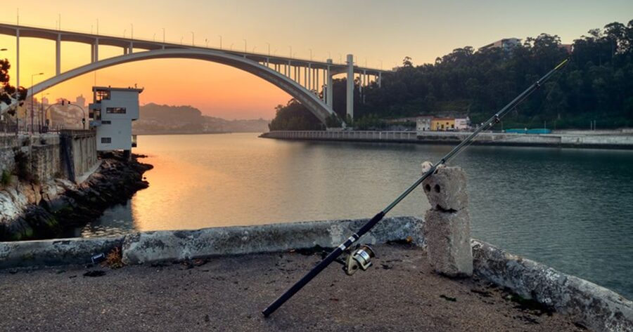Porto: 3-Hour Bike Tour - Is $57 a fair price?
