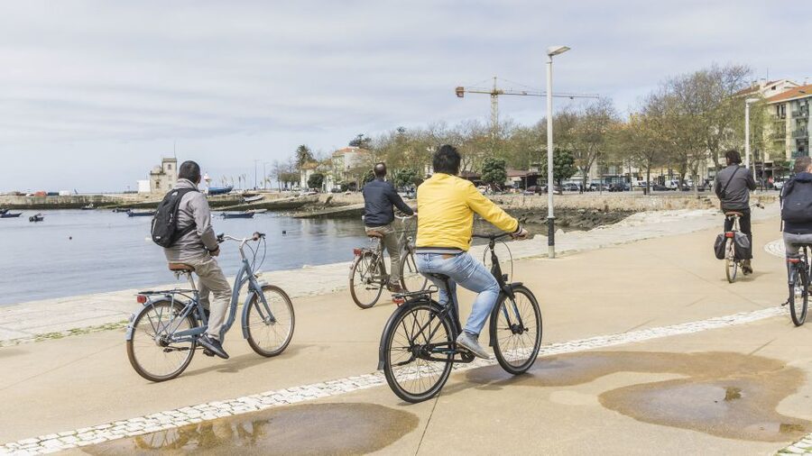 Porto: 3-Hour Bike Tour - What the bikes and guides are like