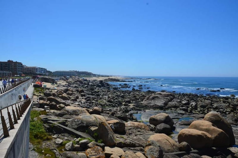 Porto: Porto Bike or E-Bike Atlantic Route - Monday market and seasonal planning