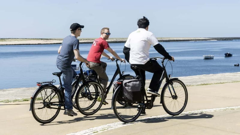 Porto Private E-Bike Tour: Douro River, Parks & Beaches - Key points before you book