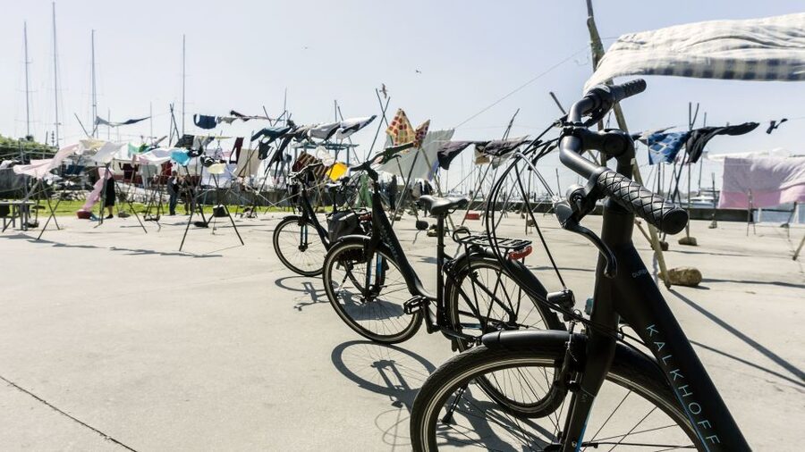 Porto Private E-Bike Tour: Douro River, Parks & Beaches - Price, pace, and practical value
