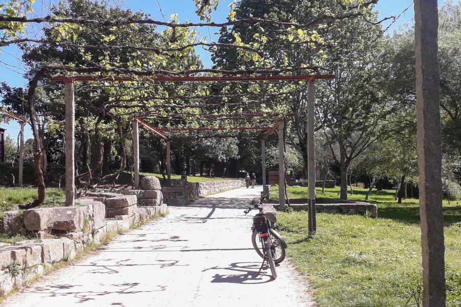 Porto Riverbank Tour on an e-bike: Atlantic Coast, Gardens - Bike quality, group size, and guide service
