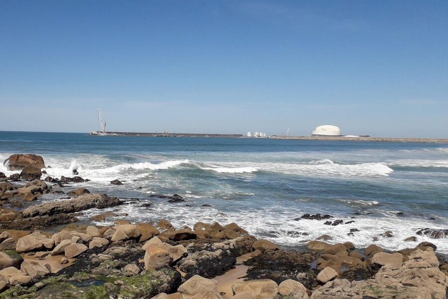Porto Riverbank Tour on an e-bike: Atlantic Coast, Gardens - Passeio Alegre and Foz do Douro