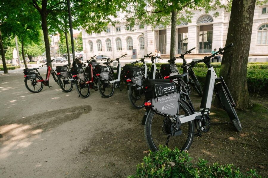 Porto Riverbank Tour on an e-bike: Atlantic Coast, Gardens - Porto City Park: open space after the coast