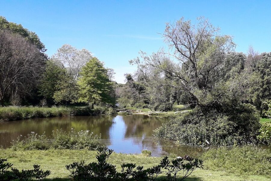 Porto Riverbank Tour on an e-bike: Atlantic Coast, Gardens - Pasteleira Park and the return toward the Douro