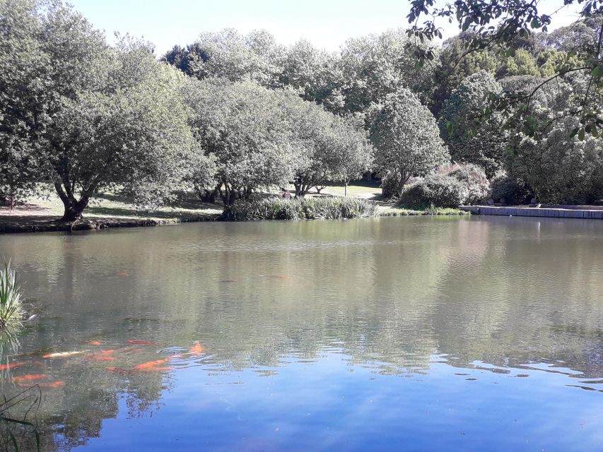 Porto Riverbank Tour on an e-bike: Atlantic Coast, Gardens - How hard is the route?