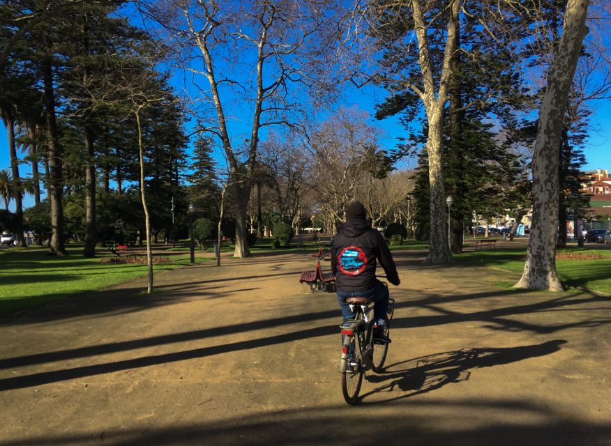 Porto: Riverside Panoramic E-Bike Tour - E-bikes, streets, and comfort