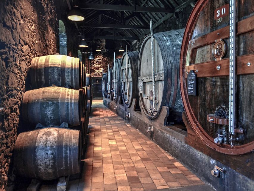 Porto: Self-Guided Bike and Boat Tour with Port Wine Tasting - Afurada, where the river meets the fishing village
