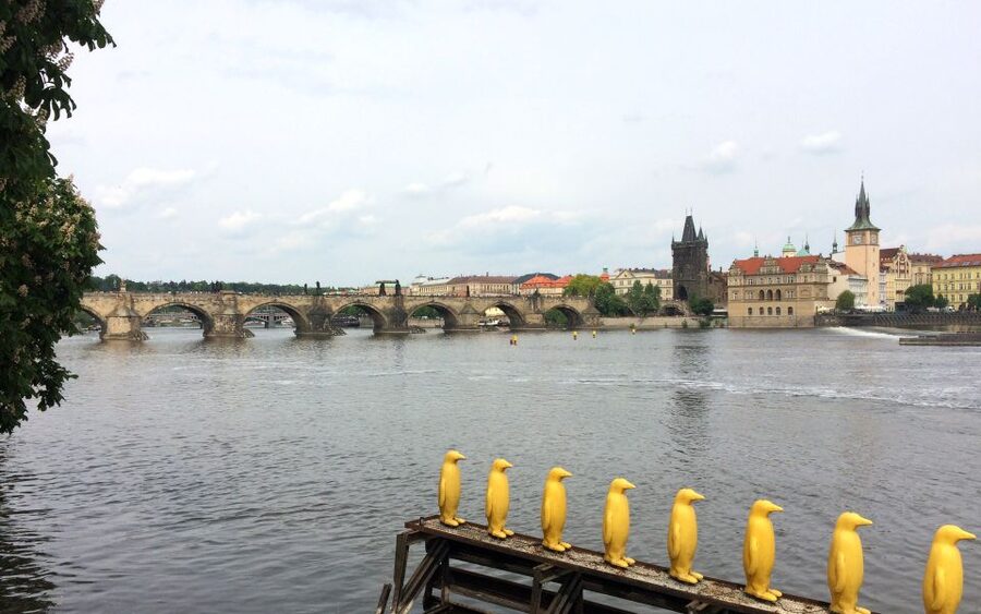 Prague: Classic City Bike Tour - Municipal House and New Town: Pragues grand opening scene