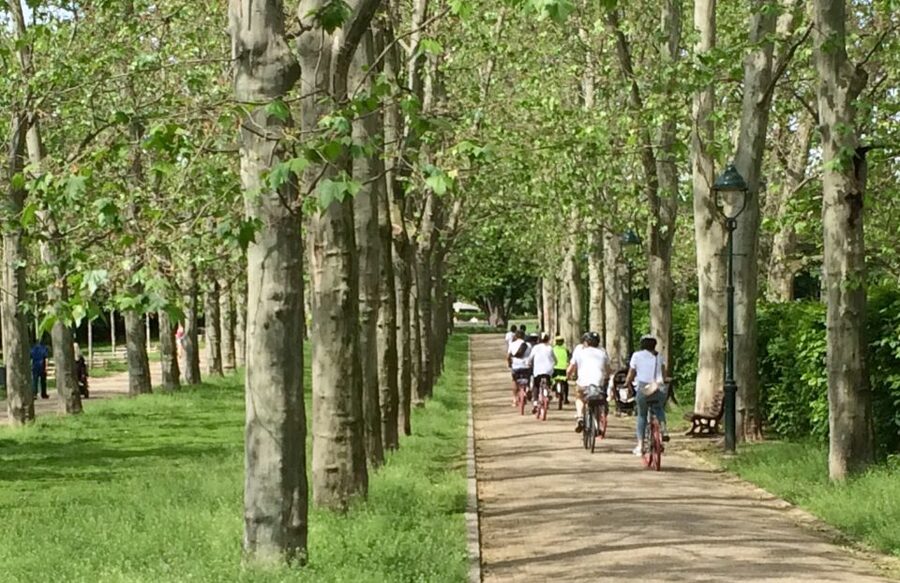 Prague: Stunning Viewpoints, Castle, City & Park E-Bike Tour - Letná Park and the Giant Metronome