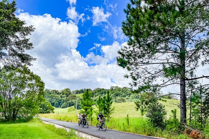 Premium E Bike Hire at the Northern Rivers Rail Trail - At a glance