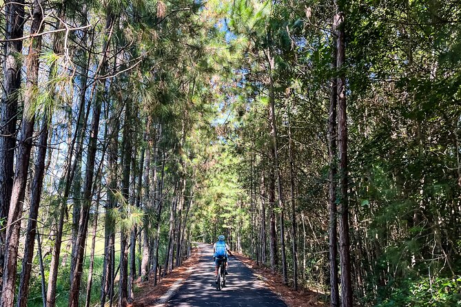 Premium E Bike Hire at the Northern Rivers Rail Trail - Why the Northern Rivers Rail Trail works so well by e-bike