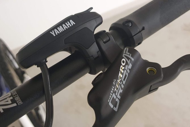 Premium eBike rental - Key points for your Bodø eBike day