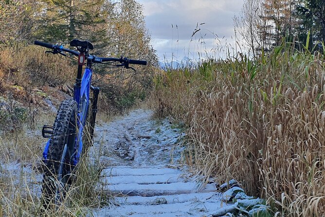 Premium eBike rental - Considering the longer ride toward Kjerringøy