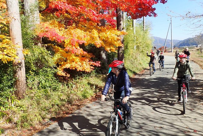 Private Afternoon Cycling Tour in Hida-Furukawa - Starting at 2:00 pm in the Old Town