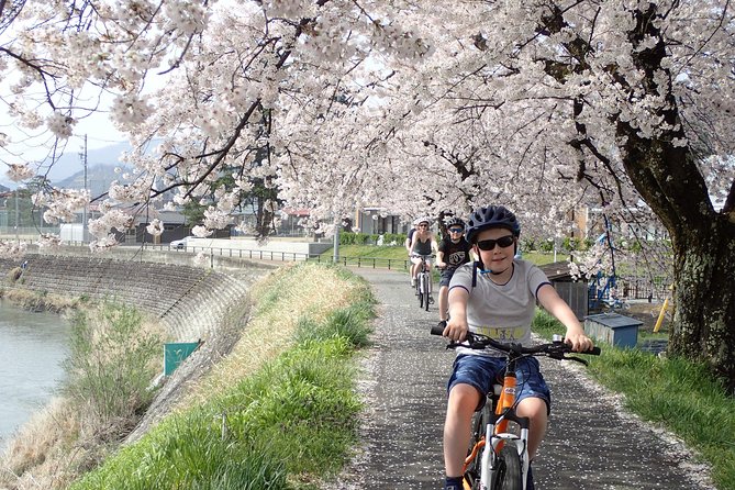 Private Afternoon Cycling Tour in Hida-Furukawa - An Easy Ride, With a Few Limits