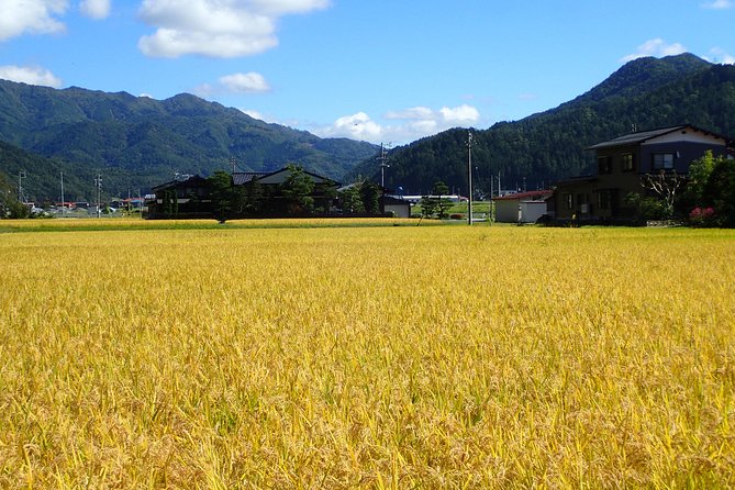 Private Afternoon Cycling Tour in Hida-Furukawa - From Furukawa Streets to Working Rice Fields