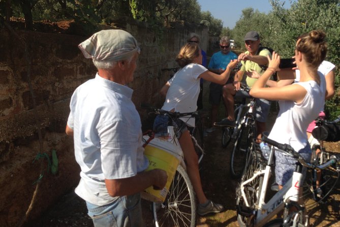 Private Bike Tour with Olive Oil Tasting - Riding the easy lanes of the Puglian countryside