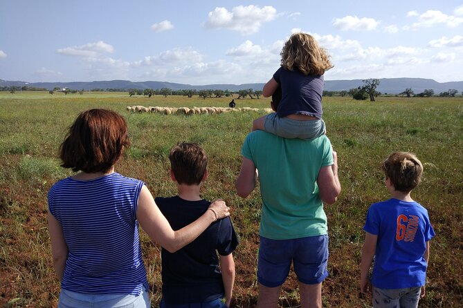 Private Bike Tour with Olive Oil Tasting - Is $138.18 per person a fair price?