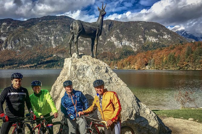 Private Biking Tour in Bohinj Valley - Who will enjoy this ride most?