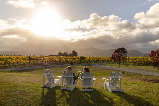 Private Biking Wine Tour (full day) in the Marlborough Region - What the guide adds to a private day