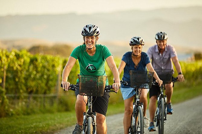 Private Biking Wine Tour (full day) in the Marlborough Region - Lunch is the main extra cost