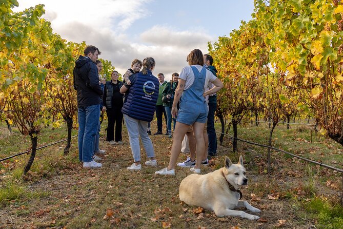 Private Biking Wine Tour (full day) in the Marlborough Region - Who will enjoy this bike and wine combination?