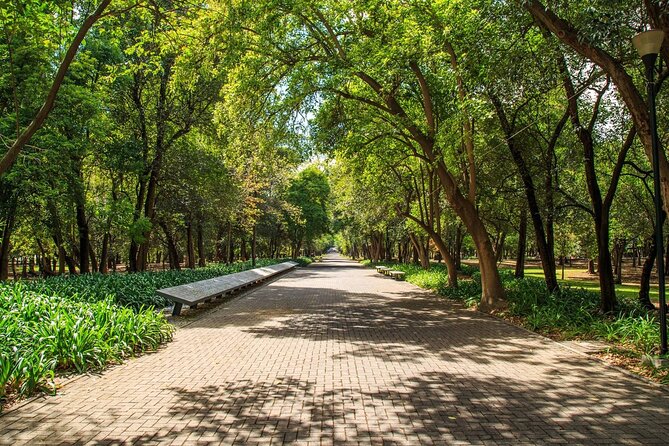 Private Chapultepec Park by Bike Guided Tour - Chapultepec’s archaeological remains