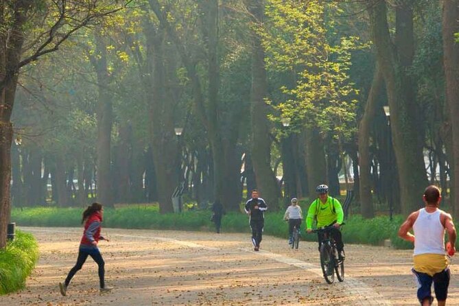 Private Chapultepec Park by Bike Guided Tour - What the guide adds to the ride