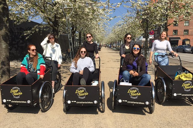 Private Copenhagen Family Cargo Bike Tour – Winter Adventure - St. Alban’s Church and Amalienborg Square