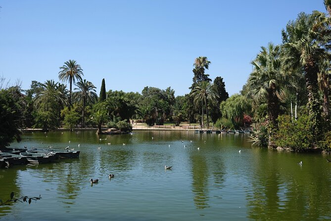 Private discovery bike tour of Barcelona - Plaça de Sant Jaume and the Gothic center