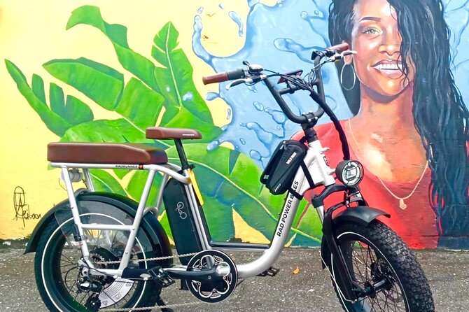 Private E-bike Adventure Tours of Barbados - What the Bridgetown e-bike tour is really like