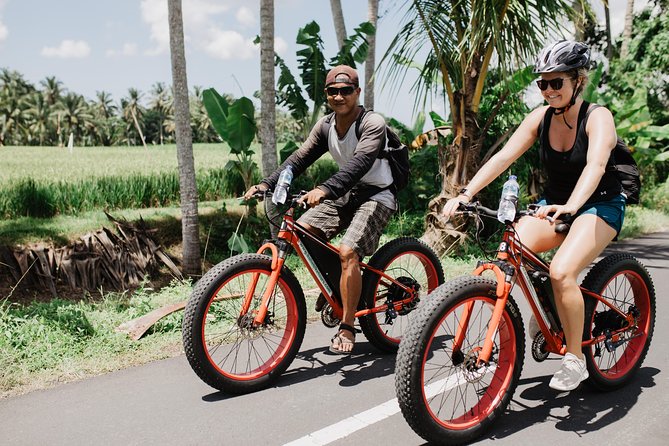 Private Fat Tire E-Bike Tour in Ubud - A private route through rice fields and forest