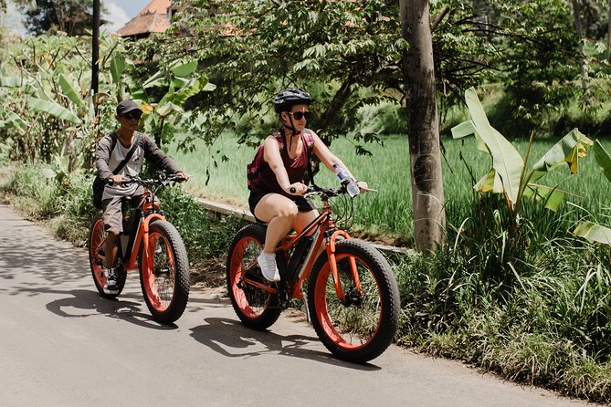 Private Fat Tire E-Bike Tour in Ubud - Campuhan Ridge and other route choices
