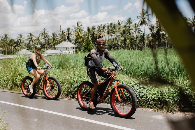 Private Fat Tire E-Bike Tour in Ubud - What the three to four hours feel like