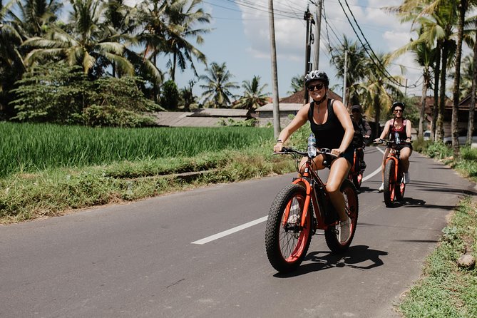Private Fat Tire E-Bike Tour in Ubud - Is $75 good value?