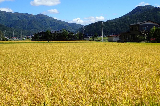 Private-group Morning Cycling Tour in Hida-Furukawa - Markets, vegetables, and working village life
