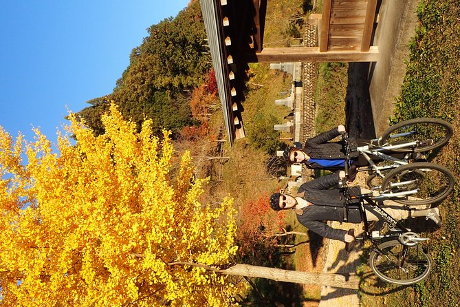 Private-group Morning Cycling Tour in Hida-Furukawa - Is $214.48 per person fair value?
