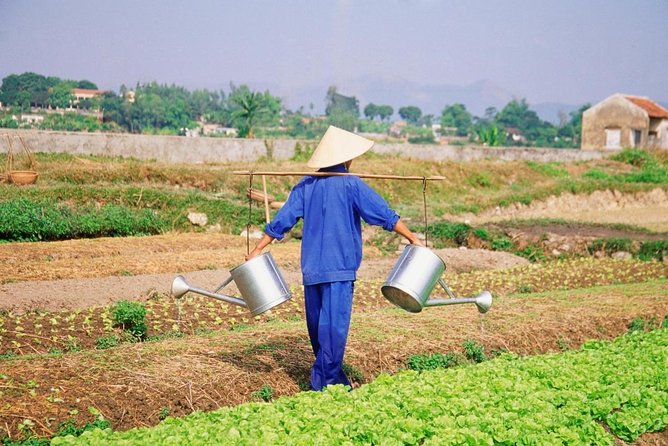 Private Hoi An Evening Food Tastings Tour by Bike - Key points to know before booking