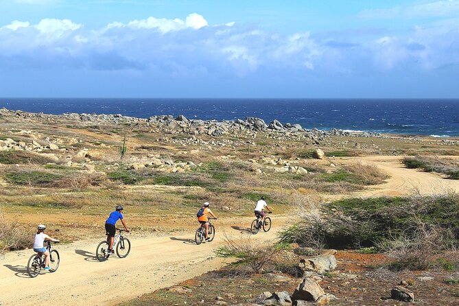Private Mountain Bike Tour in Aruba - Key points at a glance