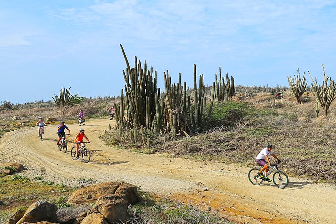 Private Mountain Bike Tour in Aruba - Riding through cactus country and coastal tracks