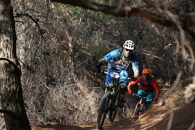 Private Mountain Bike,Trail Ride Tour of Mount Ymittos, Athens. - Safety, equipment, and practical limits