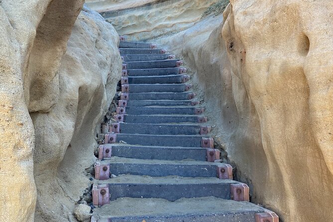 Private North County San Diego Electric Bike and Hike Tour - Moonlight Beach in Five Useful Minutes